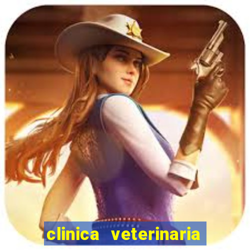 clinica veterinaria cuidar betim